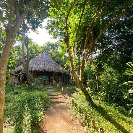 Hostal Paraiso Tayrona Kogui Los Naranjos Exteriér fotografie