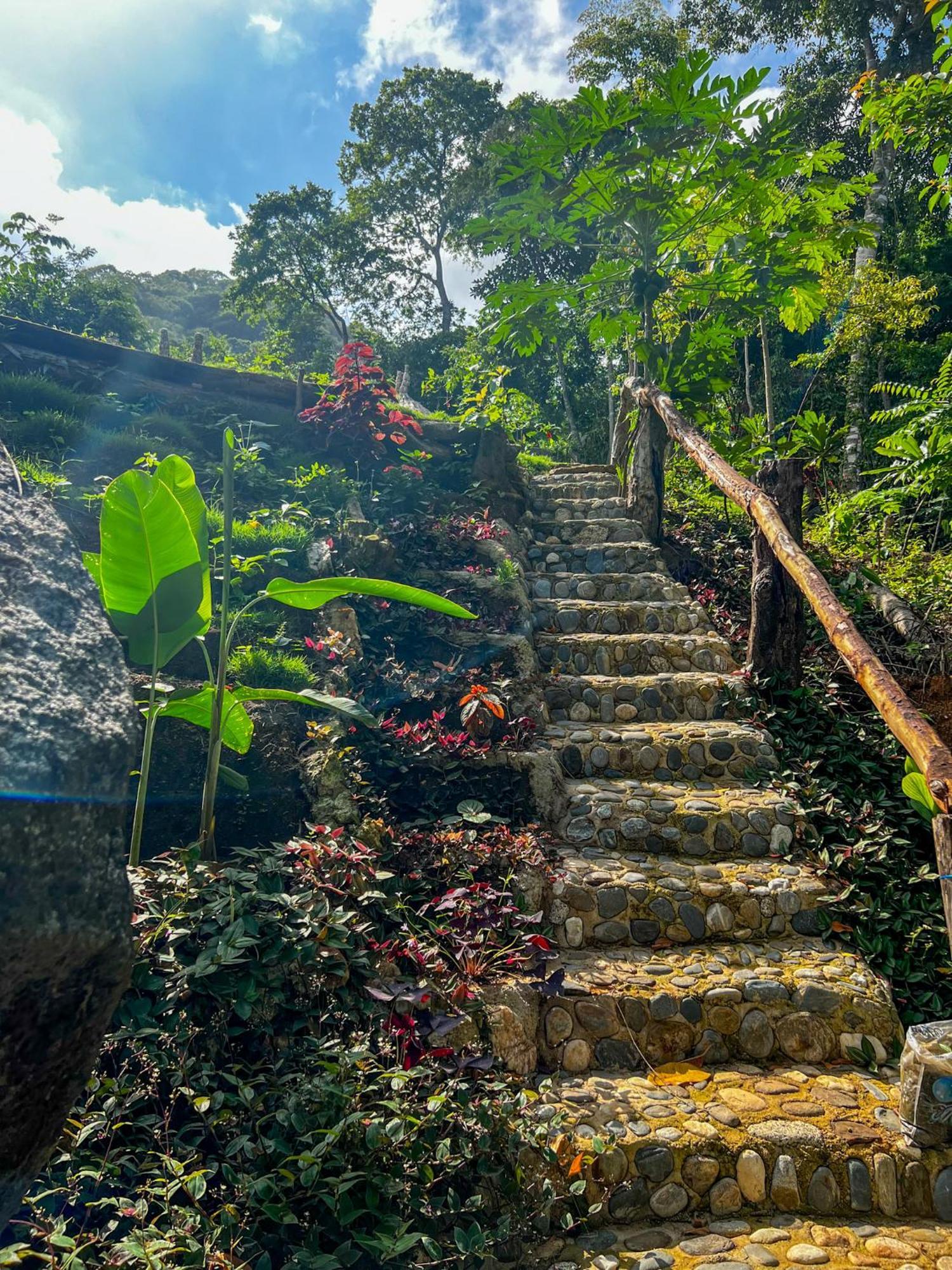 Hostal Paraiso Tayrona Kogui Los Naranjos Exteriér fotografie